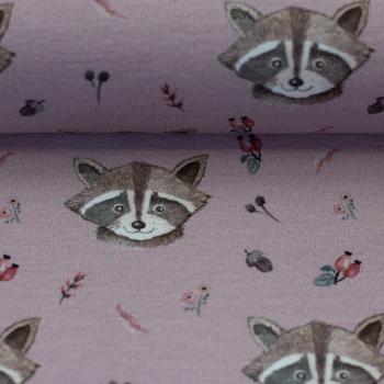 Preview: French Terry Forest Friends Waschbär auf Flieder by Christiane Zielinski by Swafing